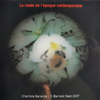 Limited Edition Sensitive Rooms - 2007 - La rosée de l'époque contemporaine - Bernard Gast